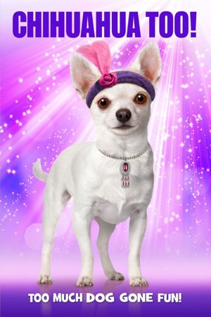 chihuahua too!