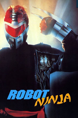 robot ninja