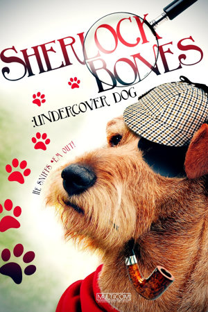 sherlock: undercover dog