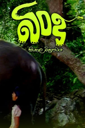 bindu