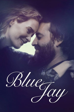 blue jay