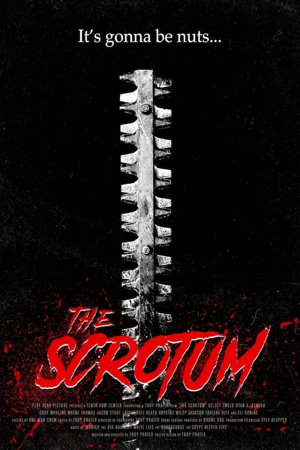 the scrotum