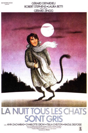 la nuit, tous les chats sont gris