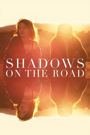 shadows on the road