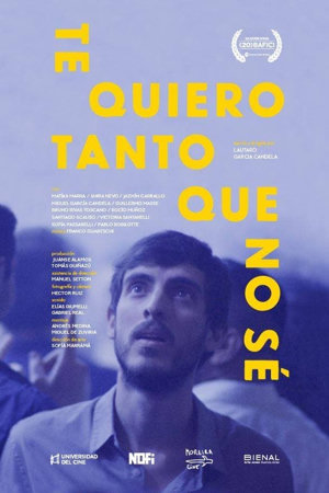 te quiero tanto que no sé