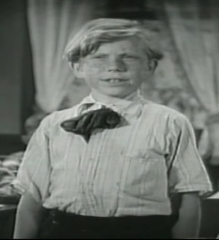 donald haines
