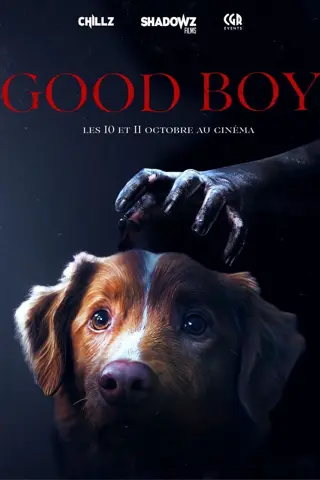 Good Boy
