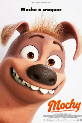 Mochy