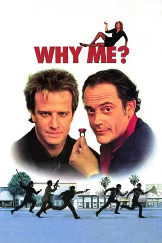 Un plan d'enfer (Why Me?)