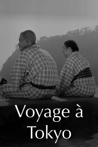 Voyage à Tokyo