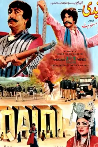 Qaidi