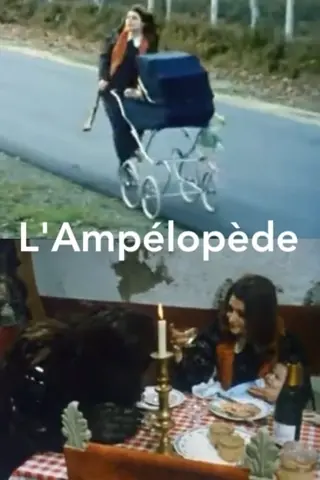 L'ampélopède