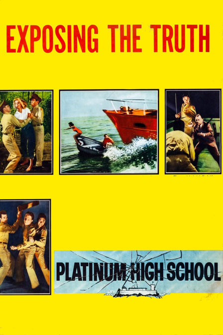platinum high school