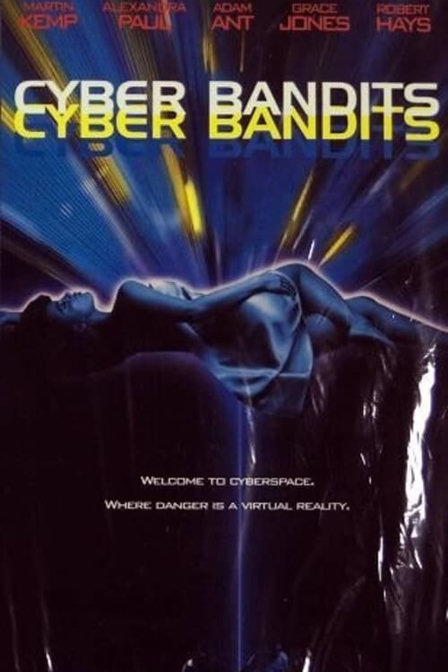 cyber bandits