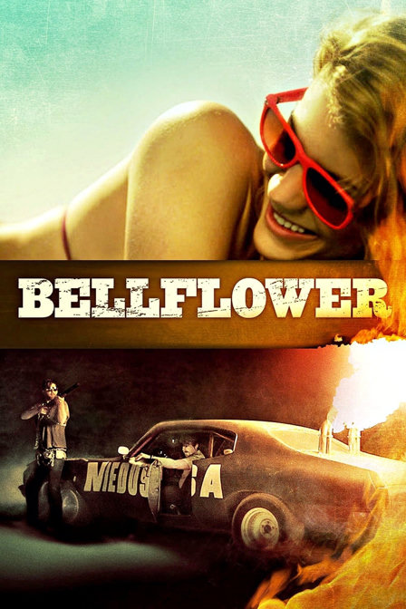 bellflower