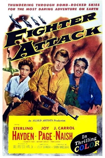 fighter attack