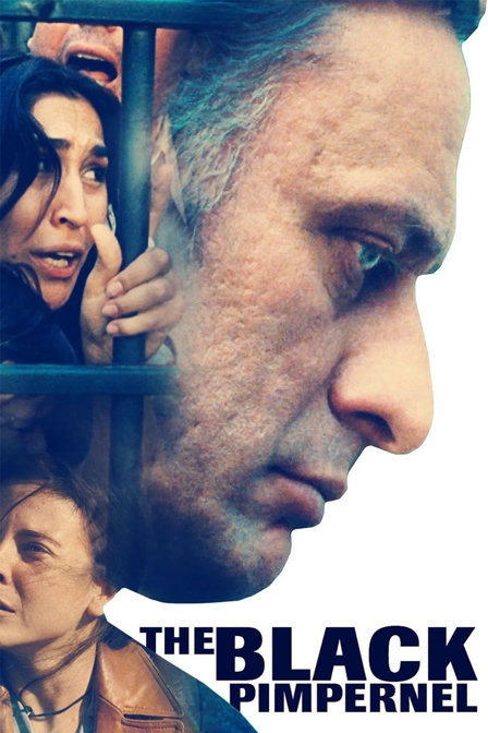 the black pimpernel