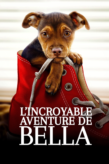 L'Incroyable aventure de Bella