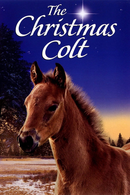 the christmas colt