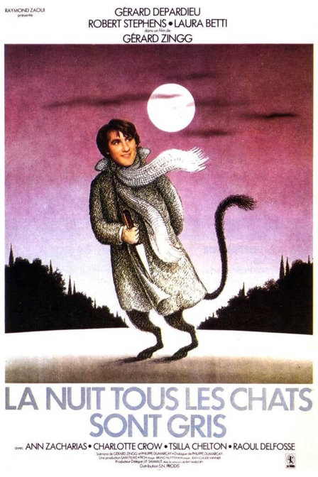 la nuit, tous les chats sont gris