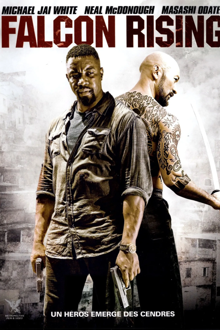 falcon rising