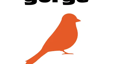 Rouge-gorge