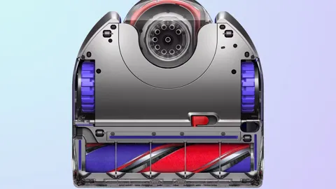 646cacbc41bcb3.45465764-dyson-360-vis-nav-06-2.jpg