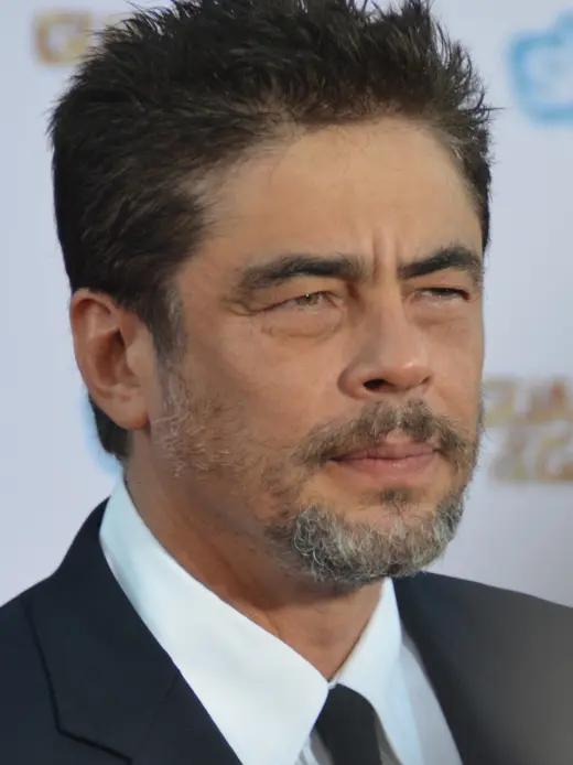 Benicio del Toro