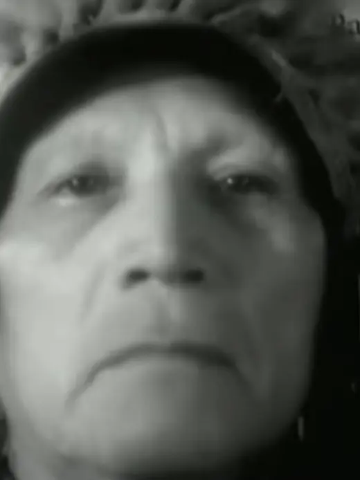 Chief John Big Tree