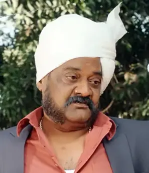 P. Ravi Shankar