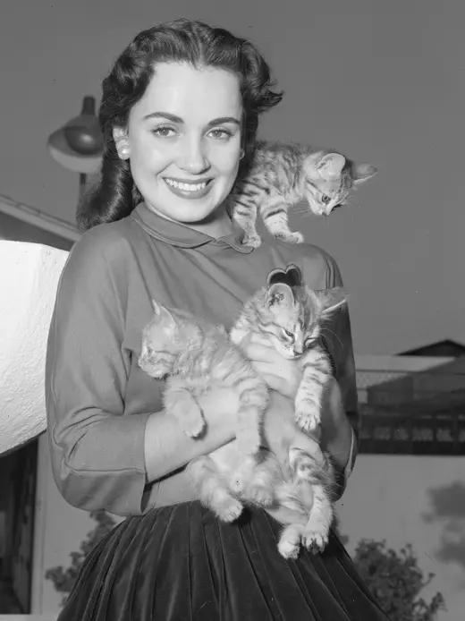 Susan Cabot