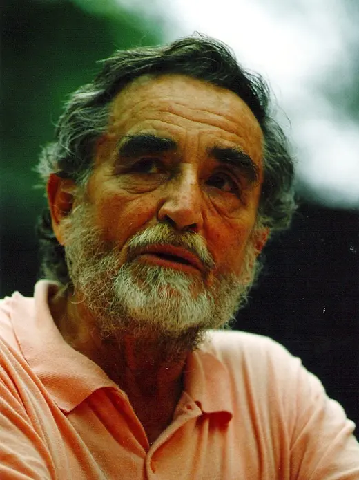 Vittorio Gassman
