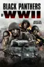 Black Panthers of WWII