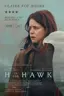 H Is for Hawk