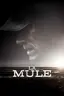 La mule