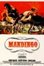 Mandingo